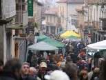 Sunday 15 and 22: "Trifola d'Or", National Truffle Fair in Murisengo