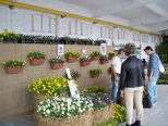 Casale Monfleurs il successo del nuovo appuntamento di Riso & Rose