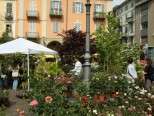 Anteprima “Riso & Rose in Monferrato” dall’11 al 26 maggio 2013