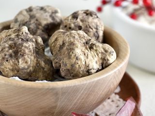 Taglia Tartufo: Quale Scegliere? I migliori modelli 2023