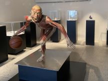 Mostra Real Bodies